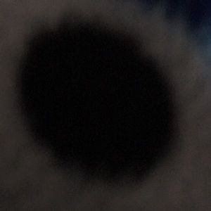 Meet your Posher, Jaden